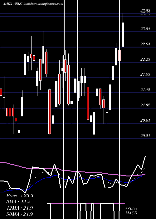  Daily chart ArkGenomic