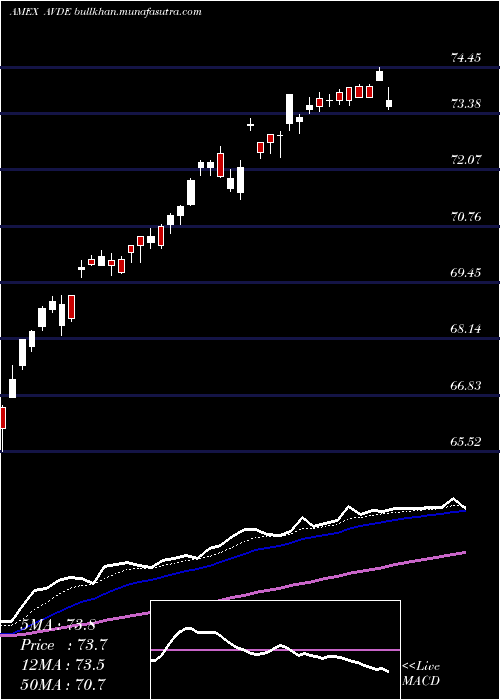  Daily chart AvantisInternational