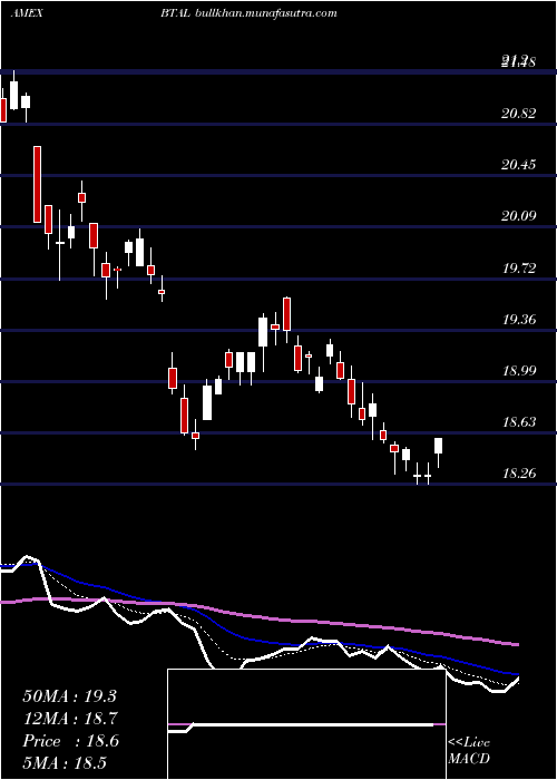  Daily chart UsAnti