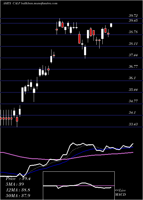  Daily chart PacerUs
