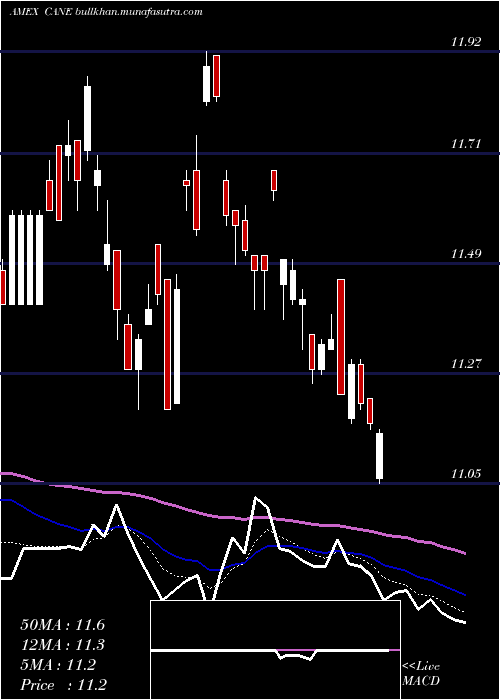  Daily chart TeucriumSugar