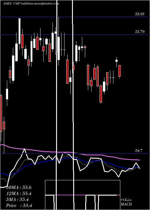  Daily chart SP