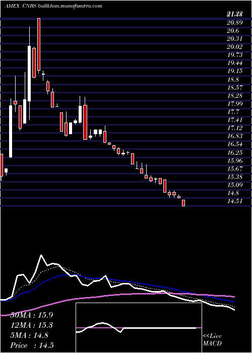  Daily chart AmplifySeymour