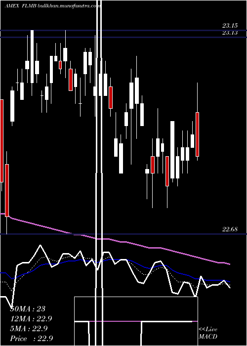  Daily chart FranklinLiberty