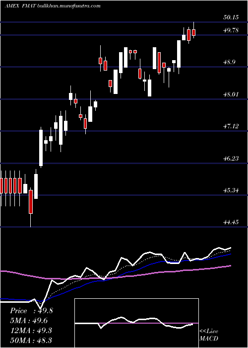  Daily chart FidelityMsci
