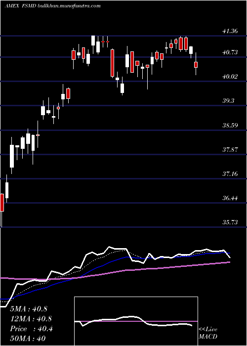  Daily chart FidelitySmall