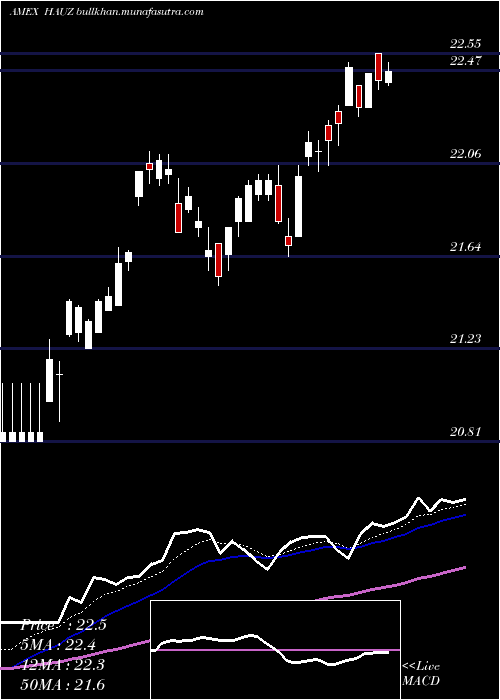  Daily chart XtrackersInternational