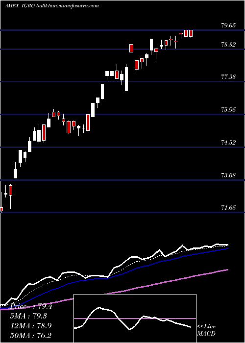  Daily chart IsharesInternational