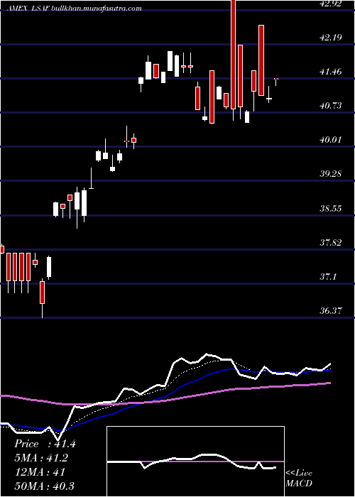  Daily chart LeadersharesAlphafactor