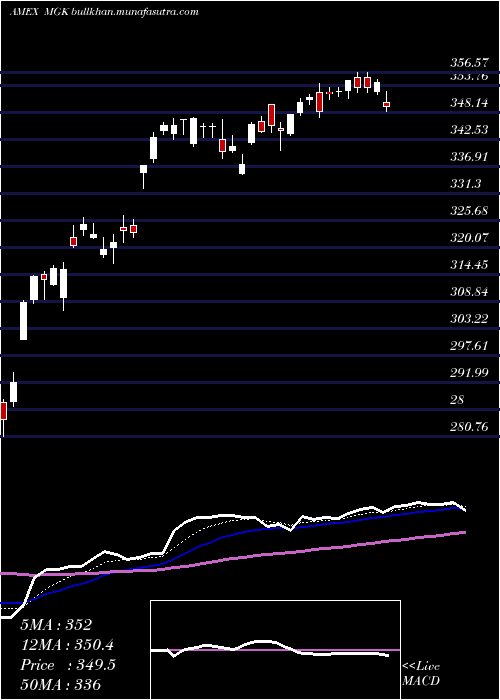  Daily chart Megacap300