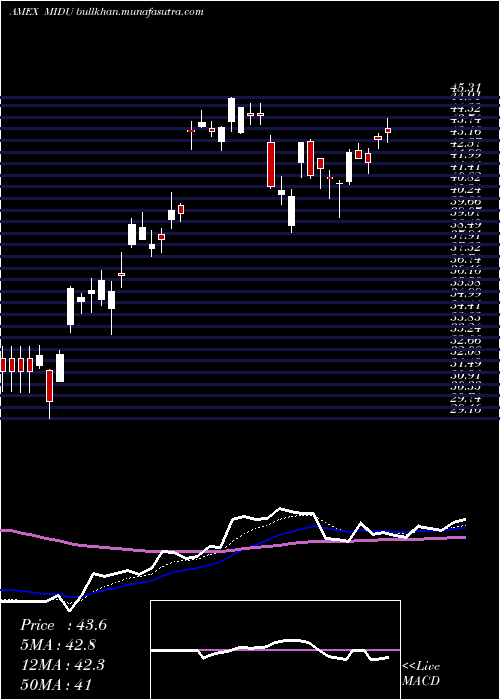  Daily chart DirexionDaily