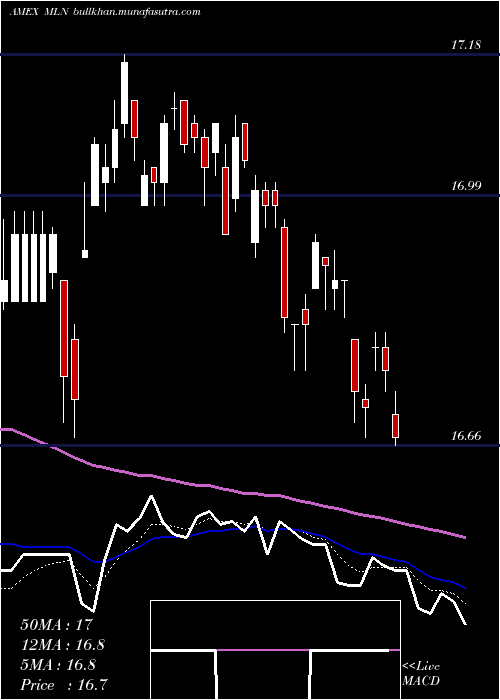  Daily chart LongMunicipal