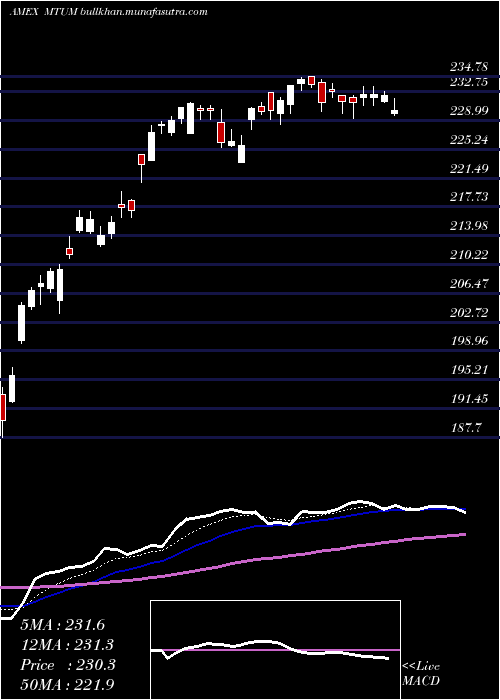  Daily chart MsciUsa