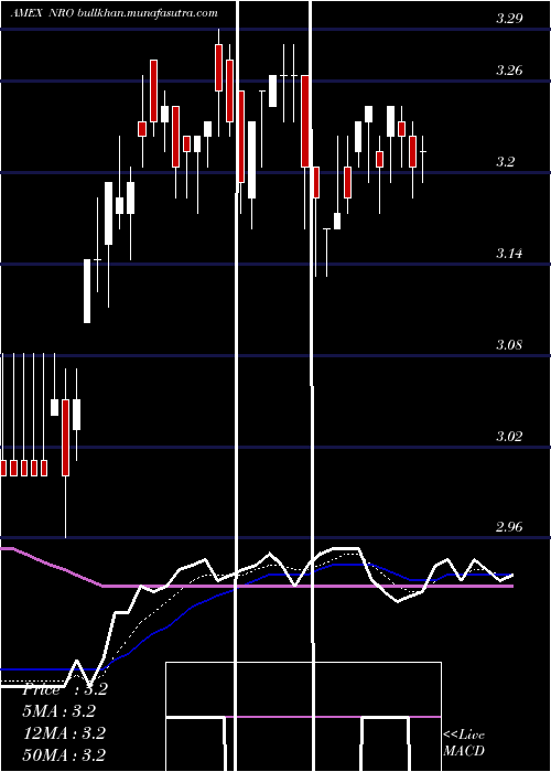  Daily chart NeubergerBerman