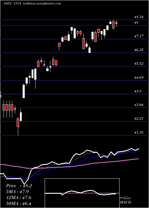  Daily chart Wisdomtree90