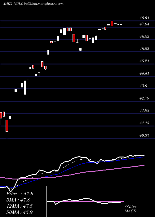  Daily chart NusharesEtf
