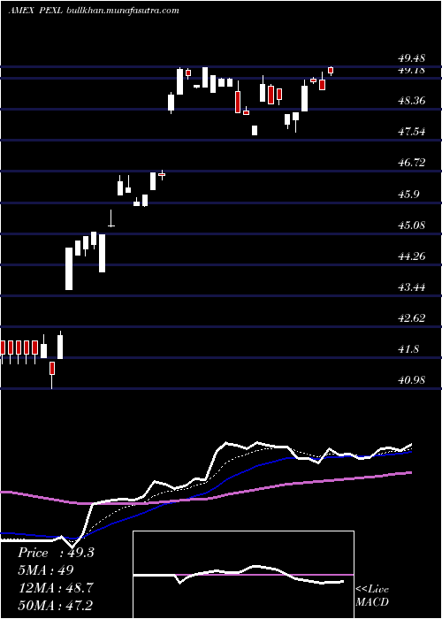  Daily chart PacerUs