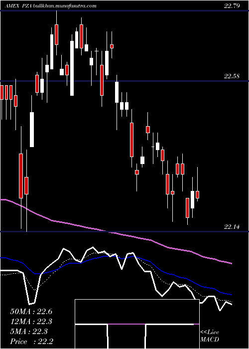  Daily chart InsuredNational