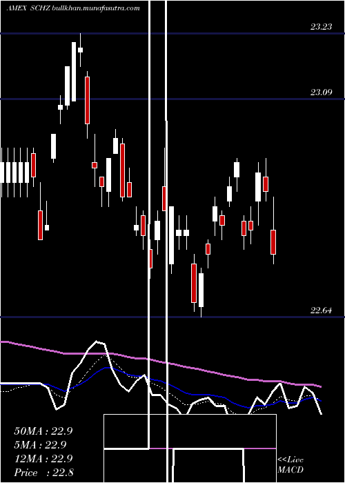  Daily chart SchwabUs
