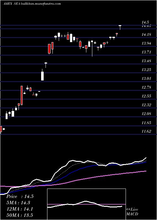  Daily chart ShippingGuggenheim