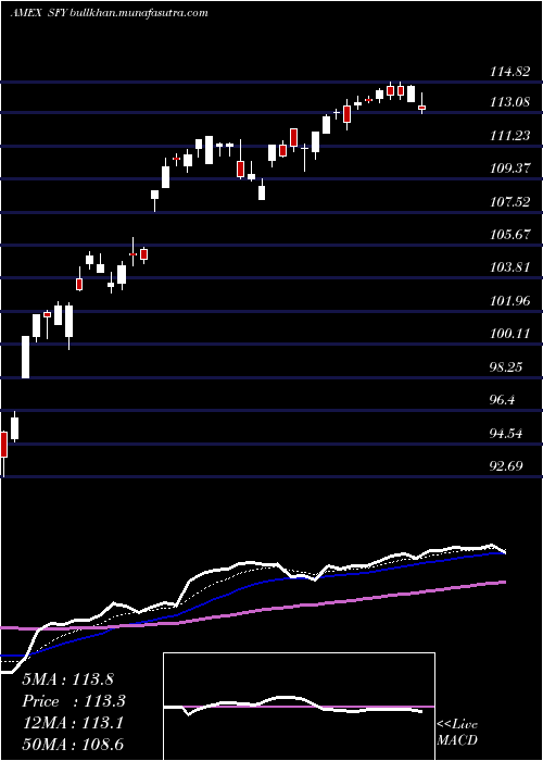  Daily chart SofiSelect