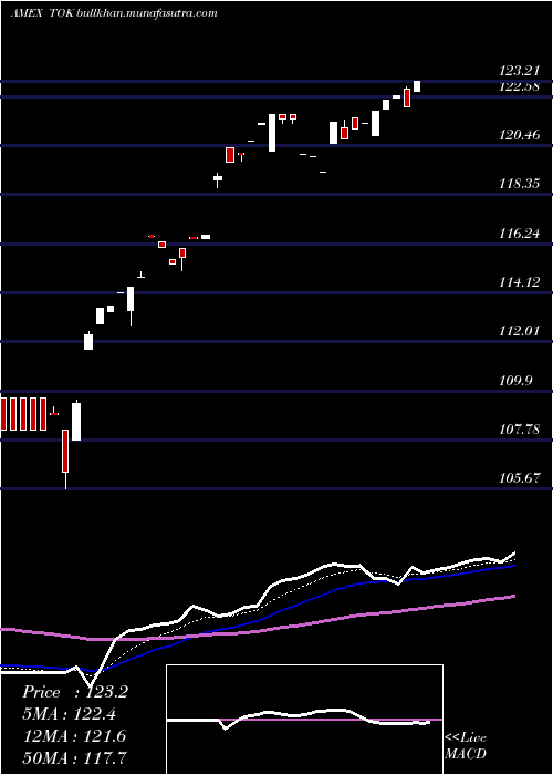  Daily chart KokusaiIndex
