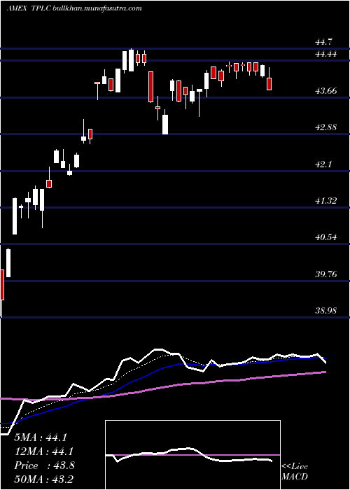  Daily chart TimothyPlan