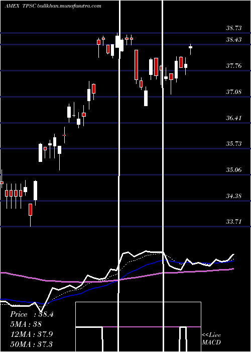  Daily chart TimothyPlan