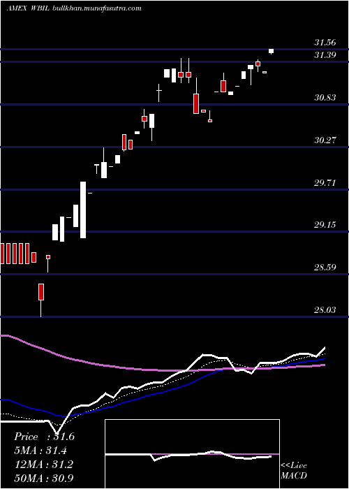  Daily chart WbiLarge