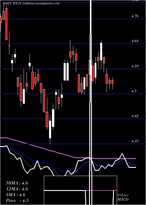  Daily chart TeucriumWheat