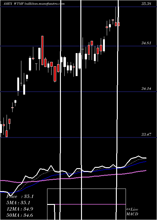  Daily chart WisdomtreeManaged