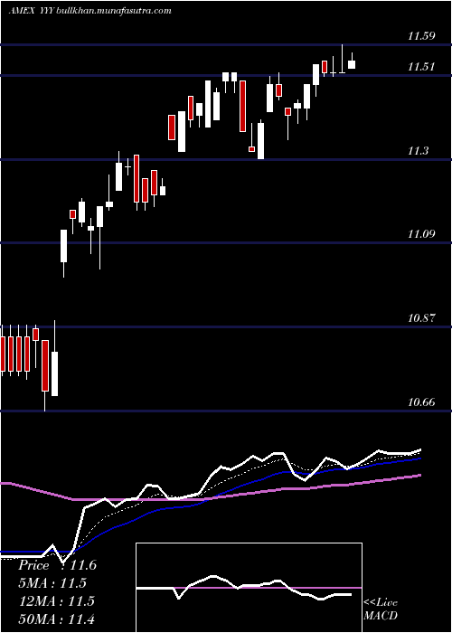  Daily chart YieldsharesHigh