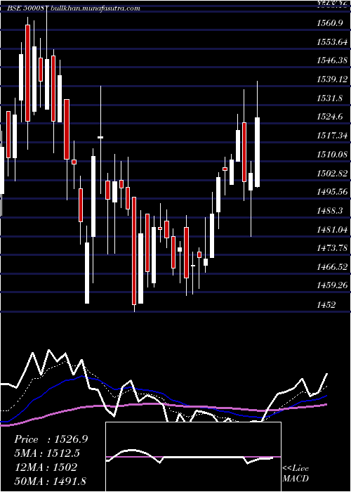  Daily chart Cipla
