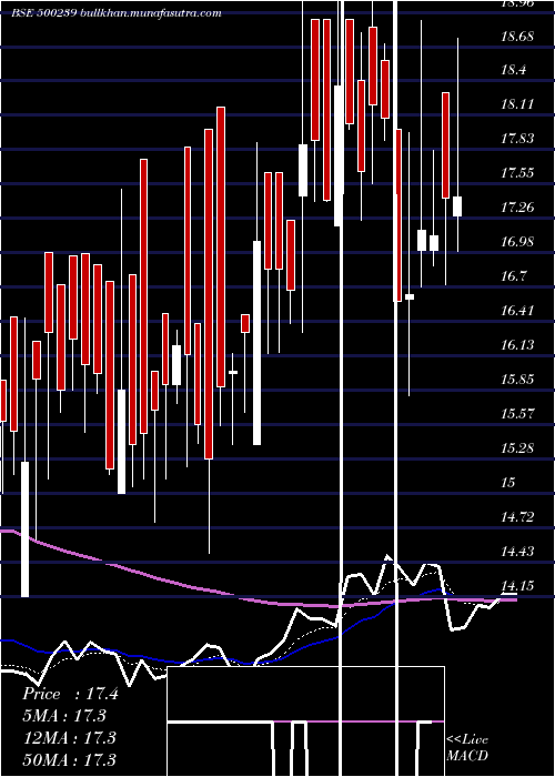  Daily chart KgDenim