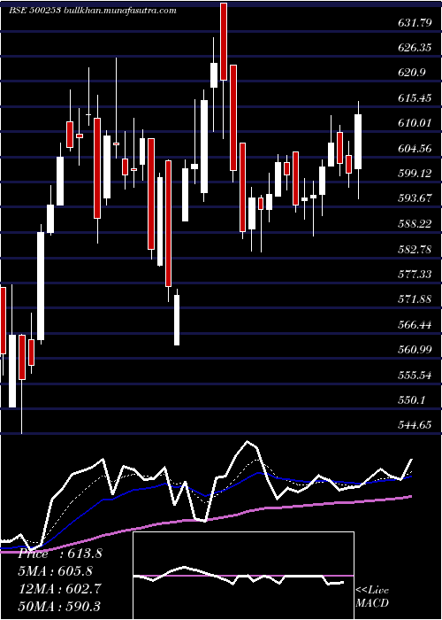  Daily chart LicHous