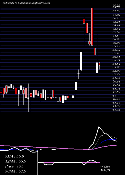  Daily chart Citadel