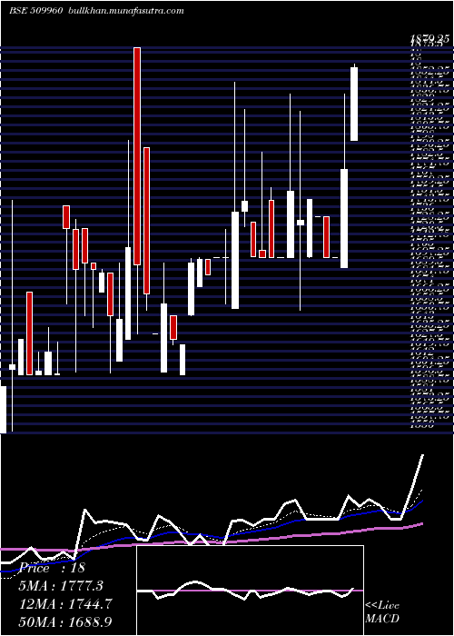  Daily chart UP