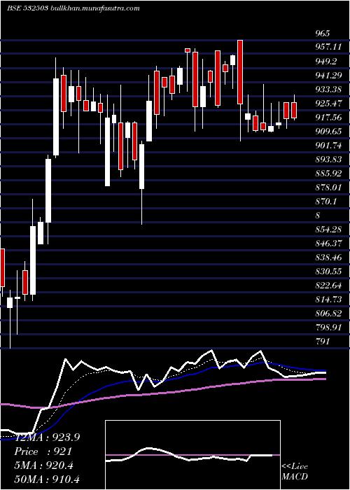  Daily chart Rajapamills
