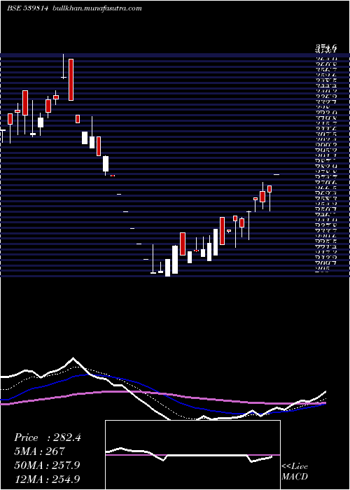  Daily chart Radhey