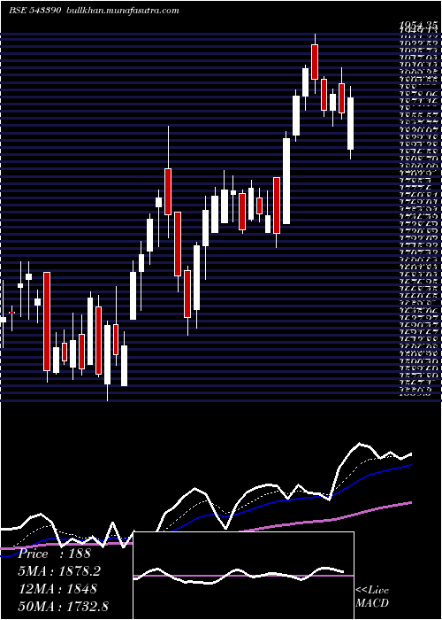  Daily chart Policybzr