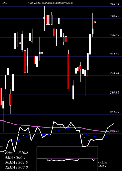  Daily chart US