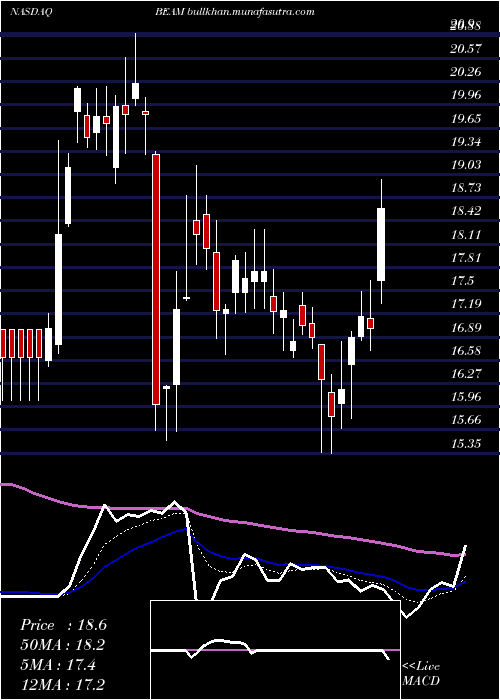  Daily chart BeamTherapeutics