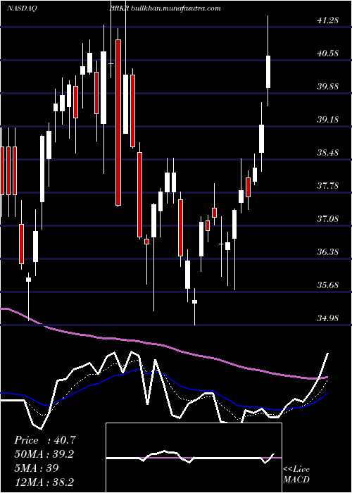  Daily chart BrukerCorporation