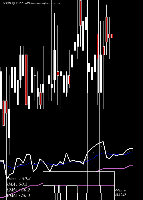  Daily chart ChinaAuto