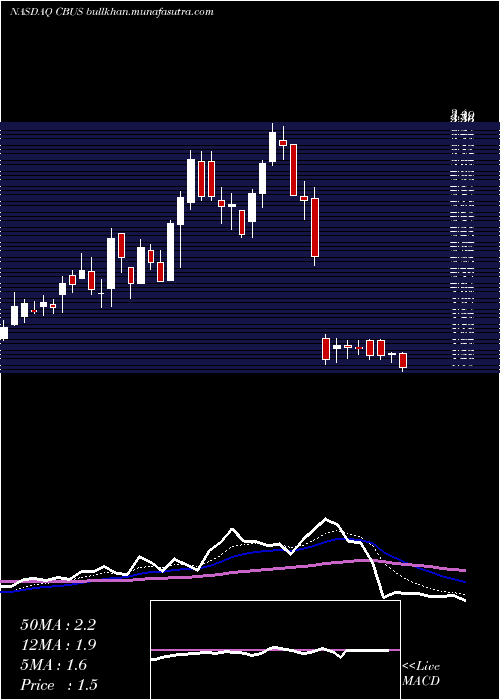 Daily chart CibusCorp