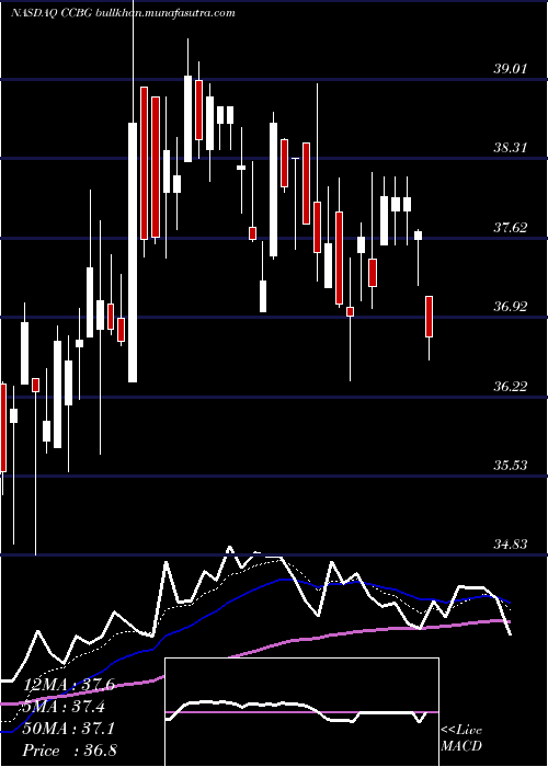  Daily chart CapitalCity