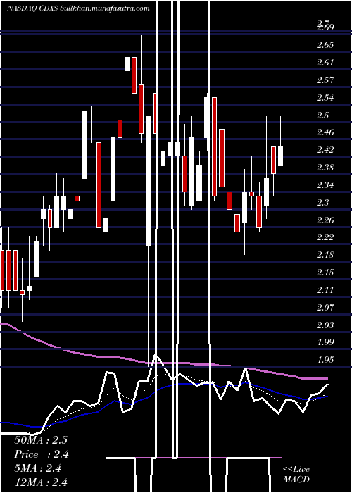  Daily chart CodexisInc