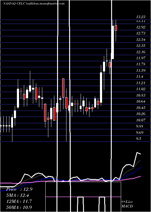  Daily chart CelcuityInc