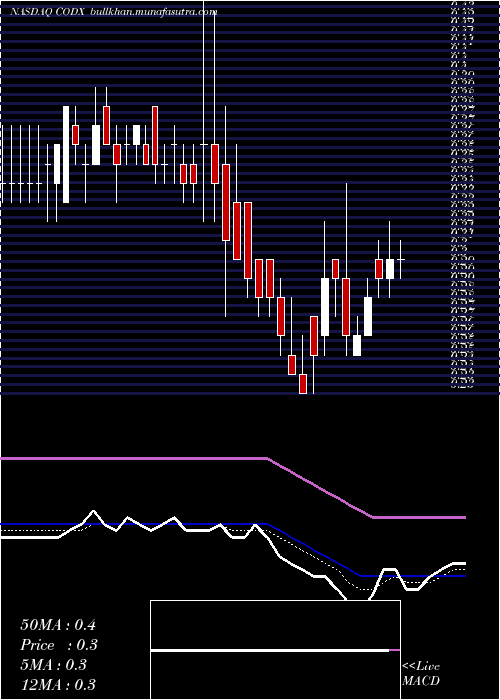  Daily chart CoDiagnostics