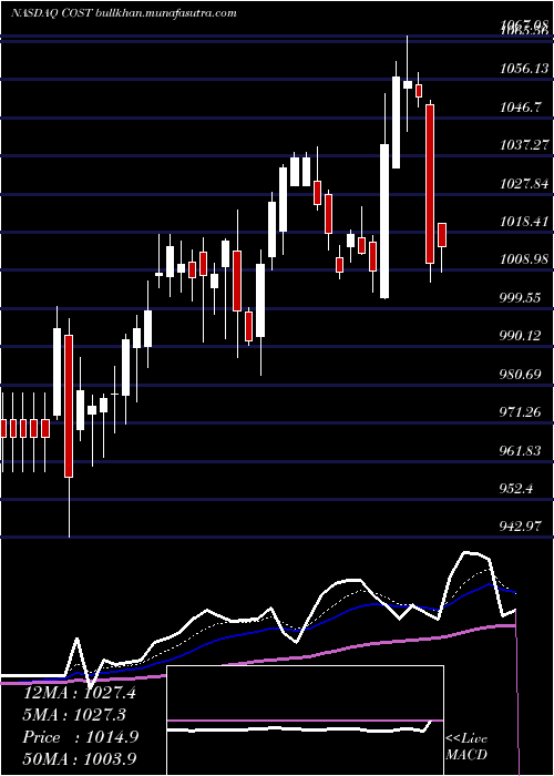  Daily chart CostcoWholesale